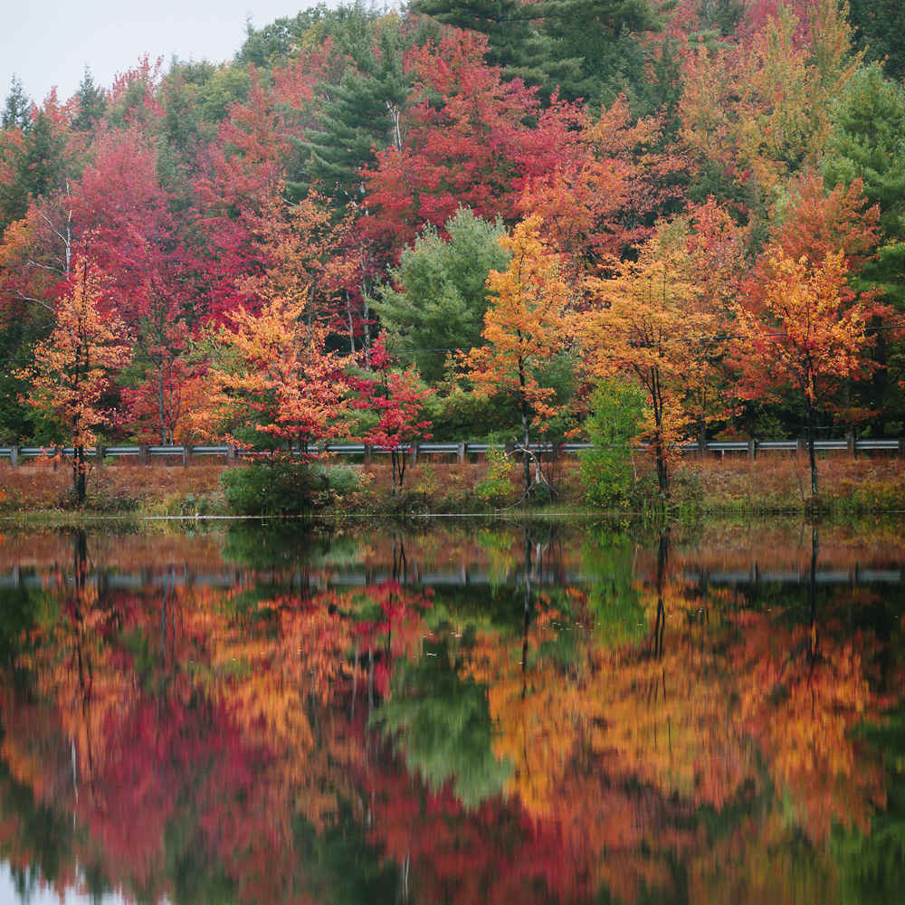 Bright red and orange foliage reflected in a pond