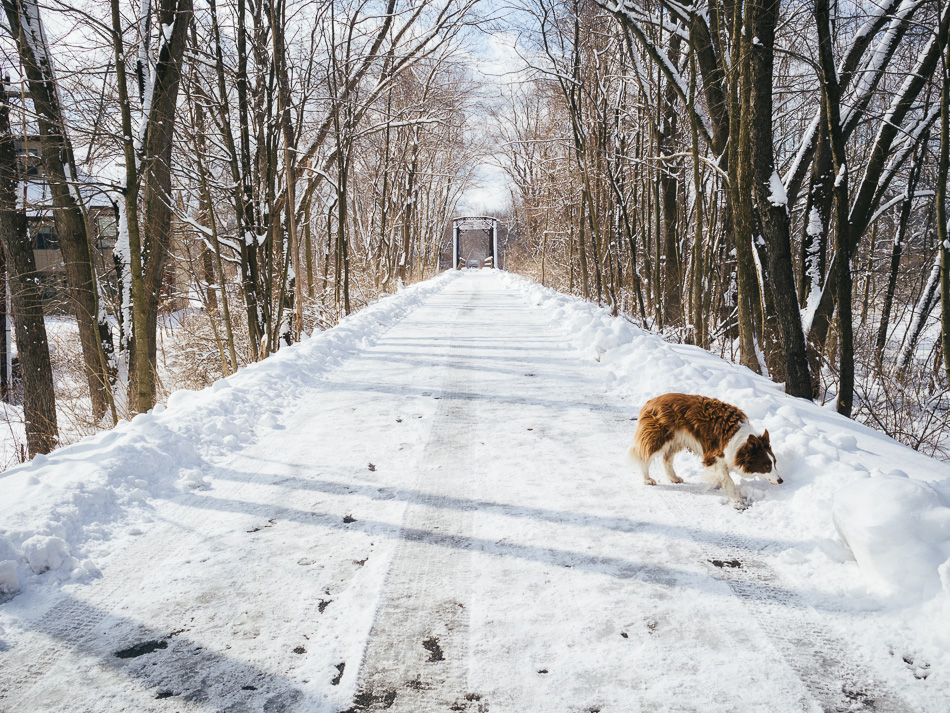 The snow covered rail trail behind Keene State College