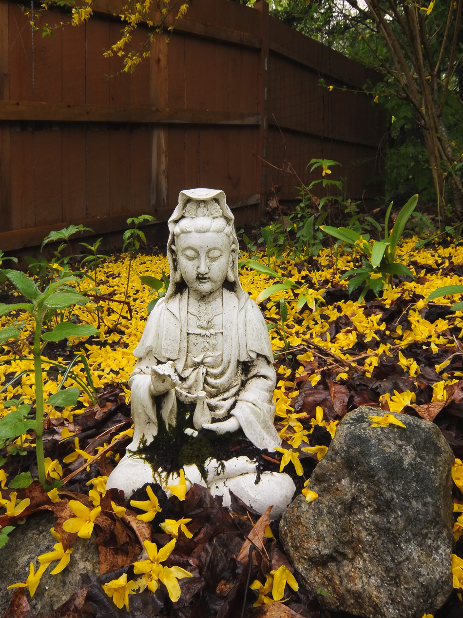 Kwan Yin statue surrounded by forsythia petals