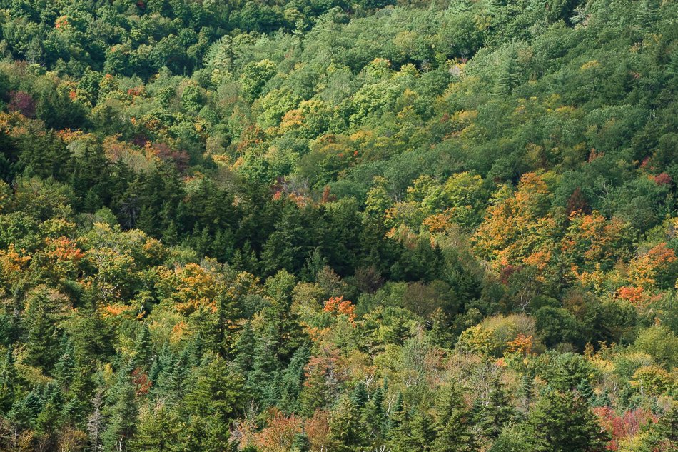 Photo of early fall foliage from Mt. Ascutney