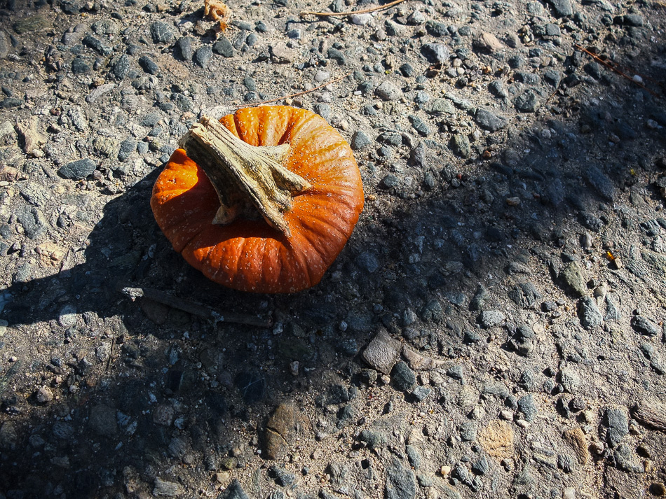 Color photo of a carved pumpkin top lying on the pavement