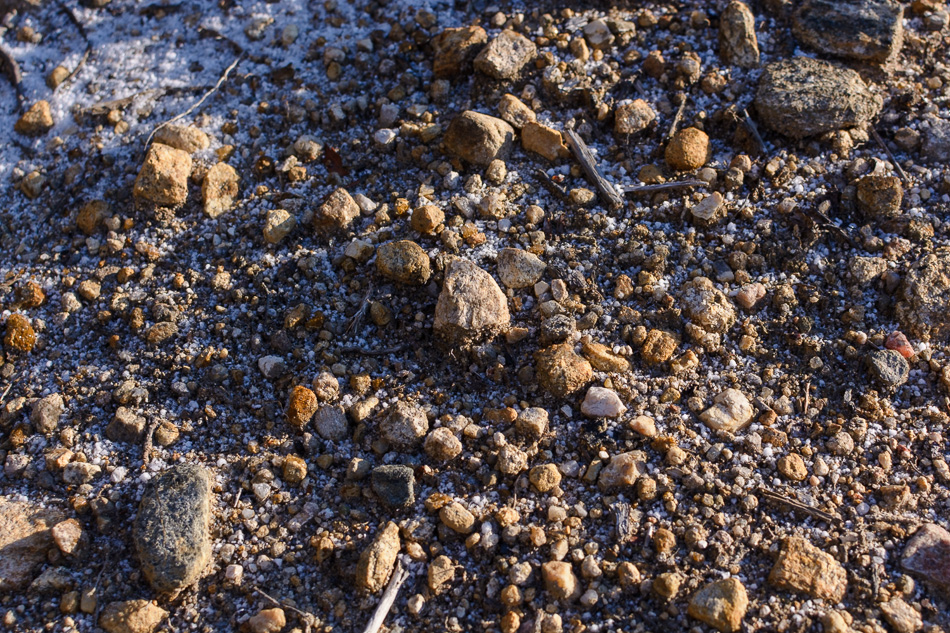 Photo of small rocks and pebbles lit by the morning sun