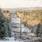 Fresh Forest Snow – Keene, NH Fresh Forest Snow – Keene, NH