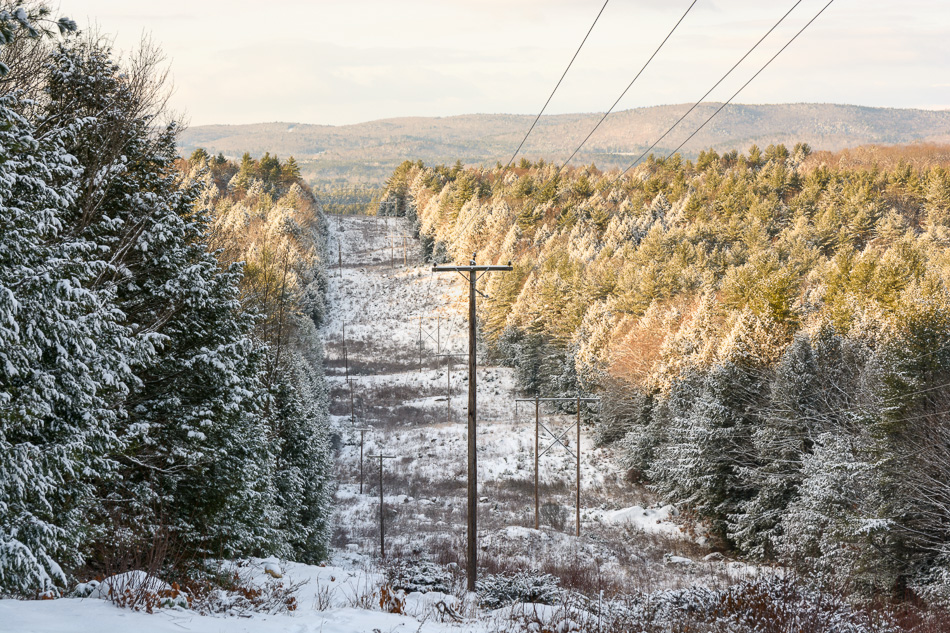 Color photo of a snow covered power line clearing