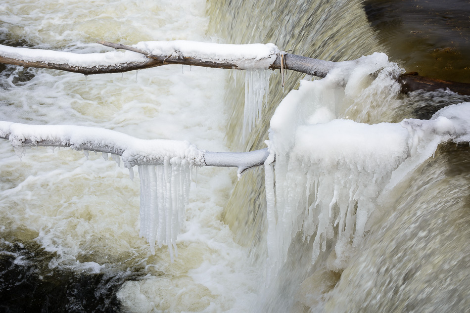 Color photo of frozen trees laying across the top of the Ashuelot River Dam in Keene, NH
