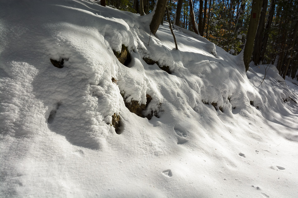 Photo of snow covered rocks along the edge of a trail