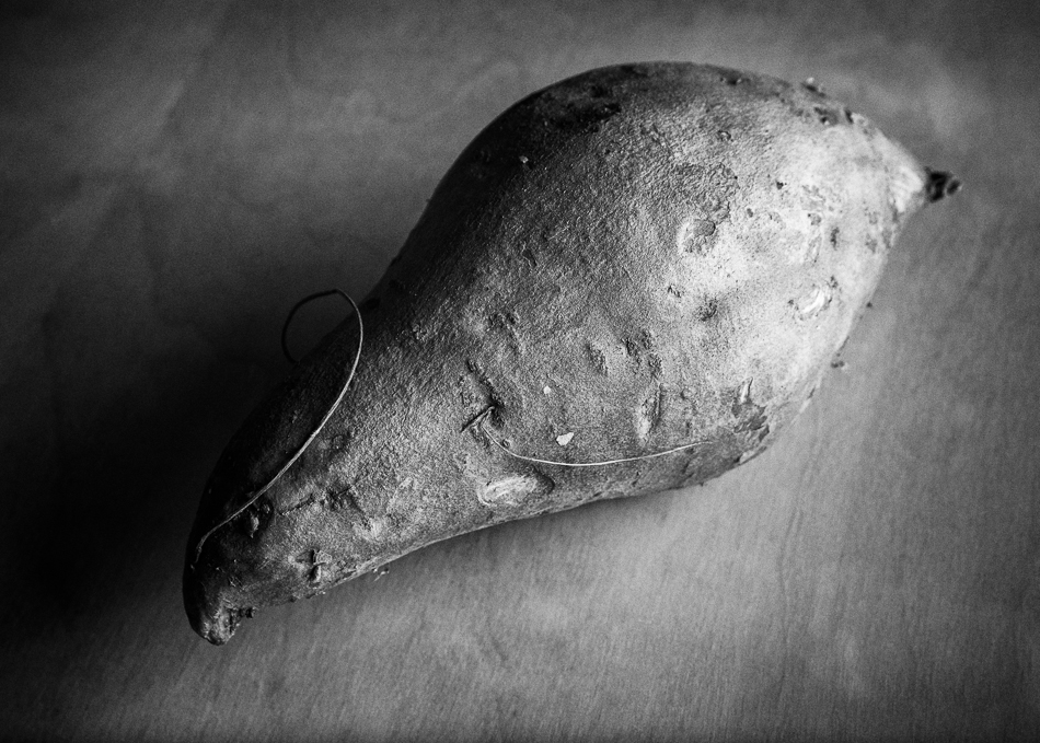 Black and white still life of a sweet potato