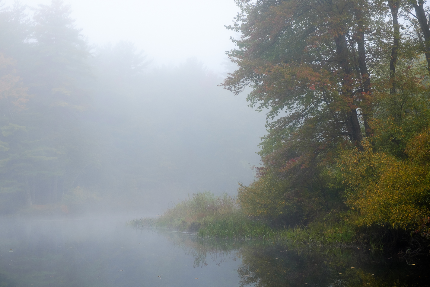Color photo of fog-shrouded foliage along the Ashuelot River