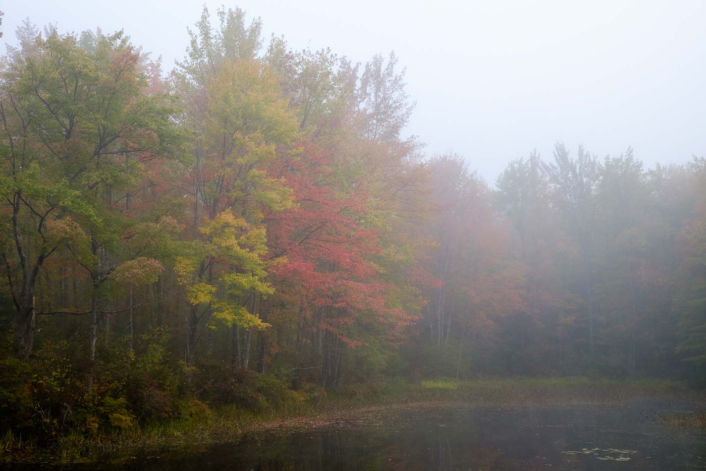 Color photo of red and yellow trees disappering into the fog along the Ashuelot River