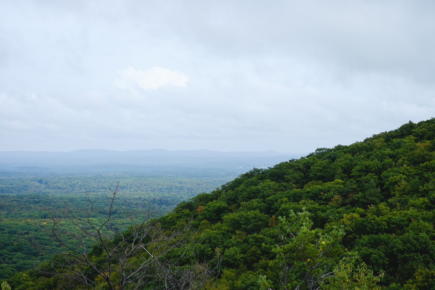 Color photo of the view to the East of Gap Mountain