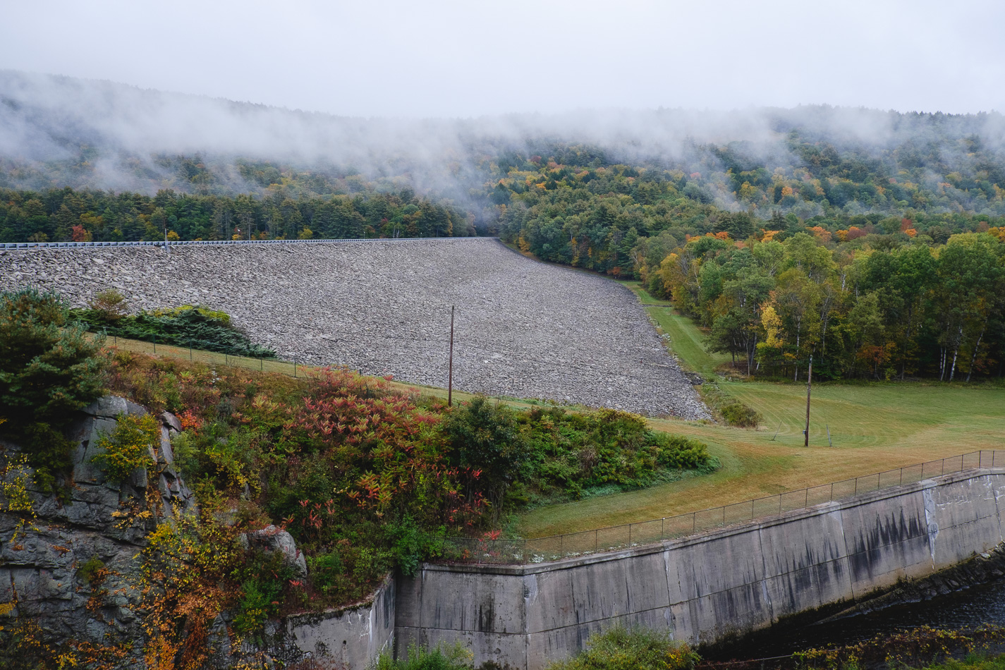Color photo of foliage near the Southern slope of Surry Mountain Dam