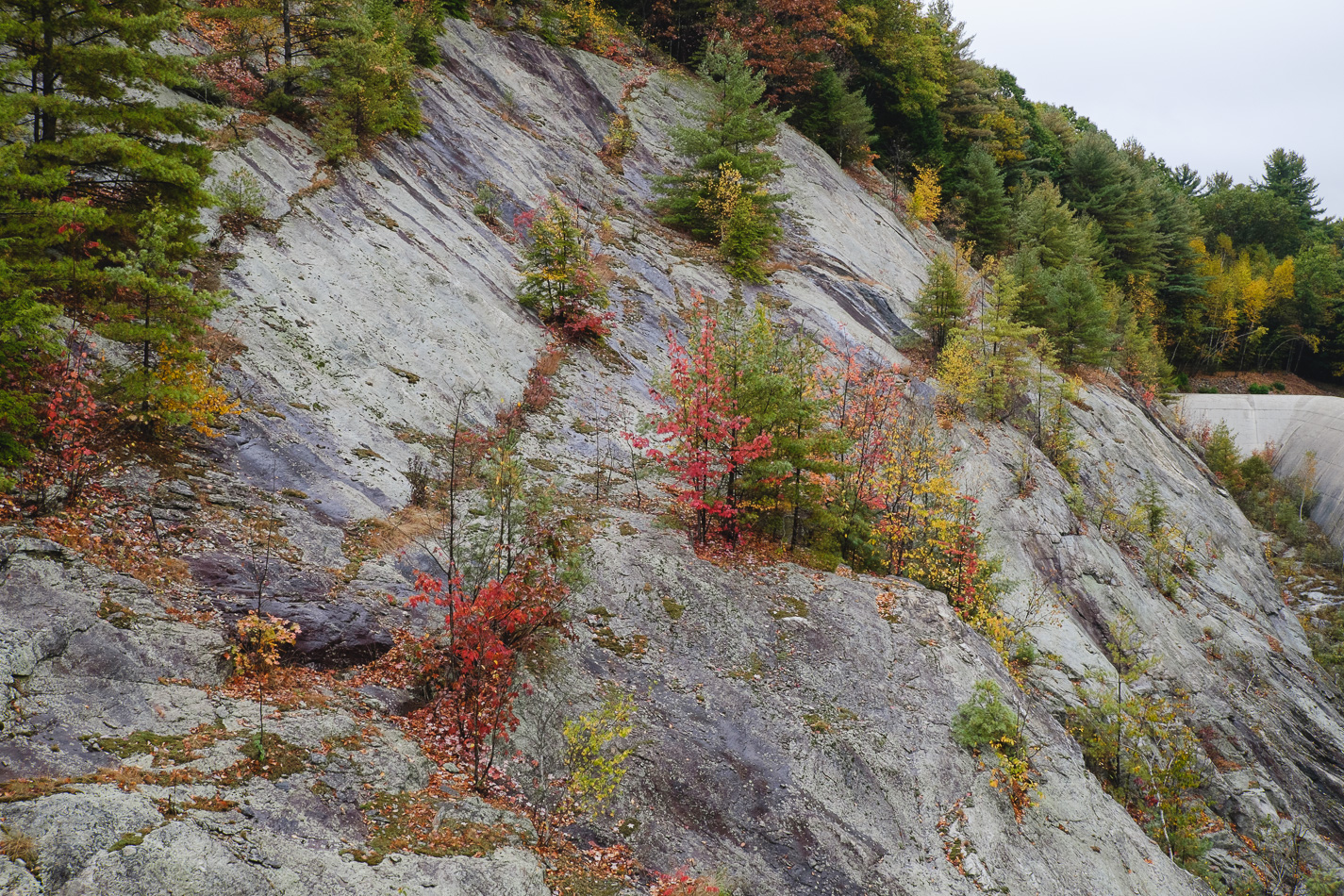 Color photo of Fall foliage along the granite walls of Surry Mountain Dam