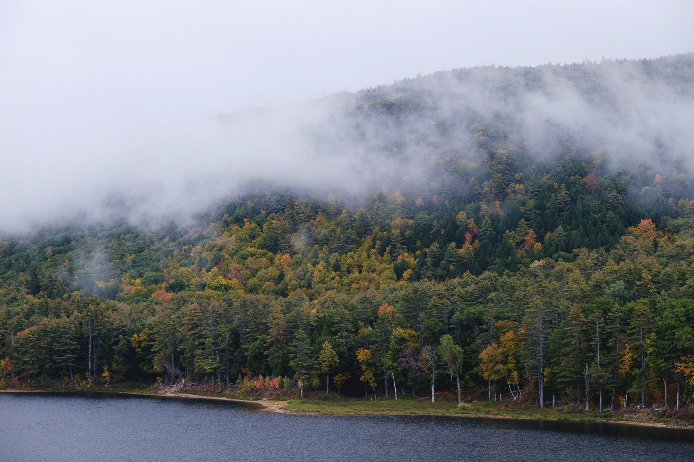 Color photo of Autumn trees in fog on the shore of Surry Mountain Lake