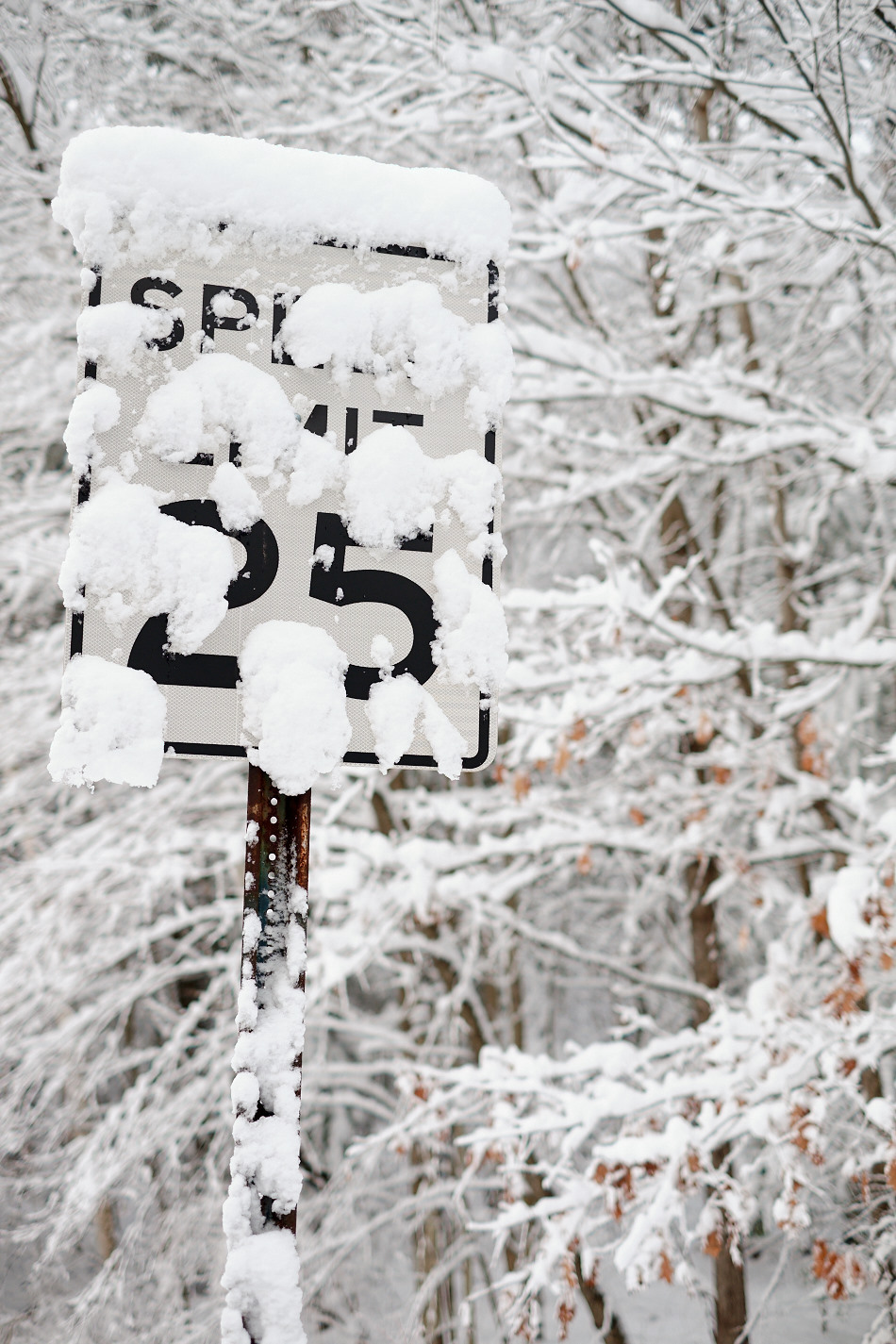 Color photo of a snow-plastered speed limit sign