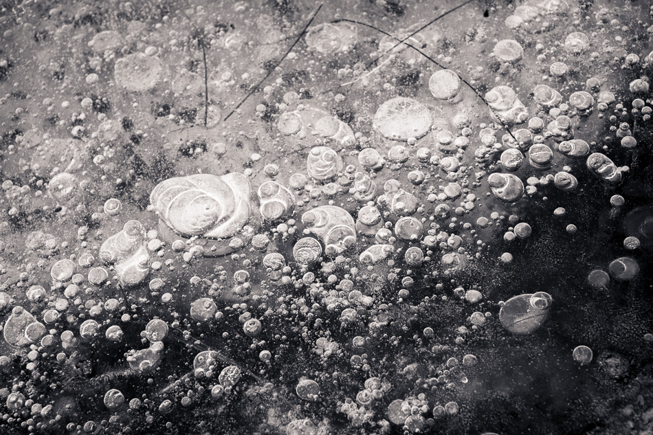 Black and white photo of bubbles trapped in a frozen river