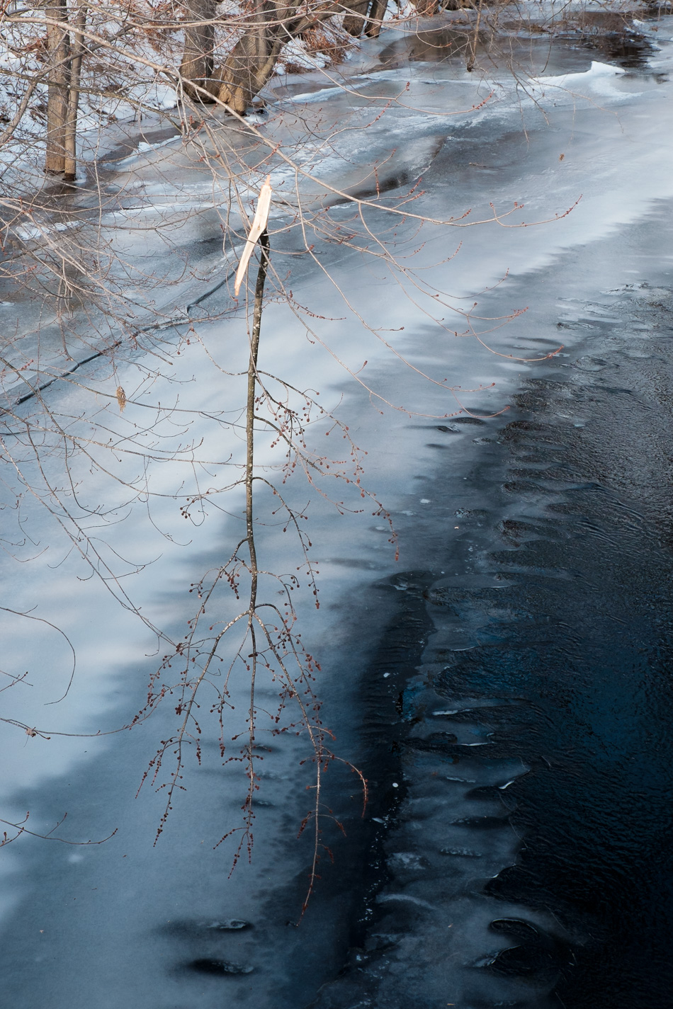 Color photo of a broken tree branch hanging from another over a partially frozen river
