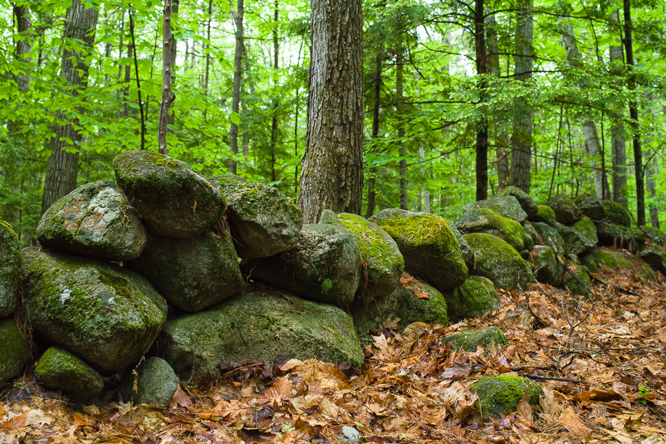 Color photo of a moss covered stone wall