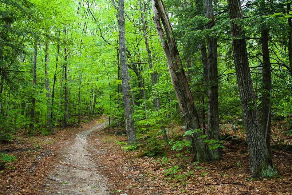 Color photo of Old Gilsum Rd in Keene, NH