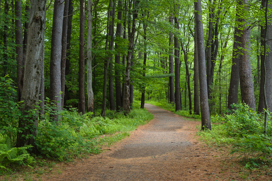 Color photo of the path leading through the Ashuelot River Park in Keene, NH