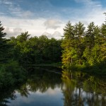 Morning Walk Along the Ashuelot River Morning Walk Along the Ashuelot River